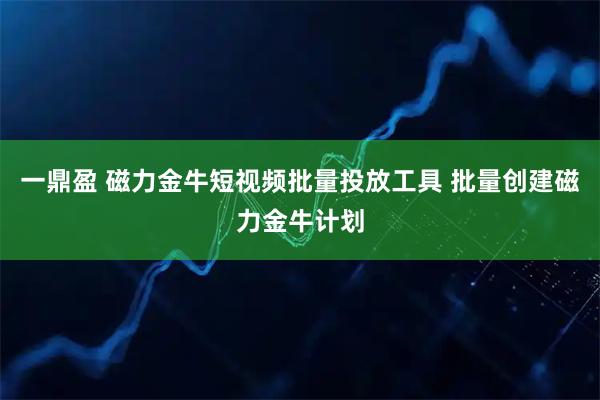 一鼎盈 磁力金牛短视频批量投放工具 批量创建磁力金牛计划