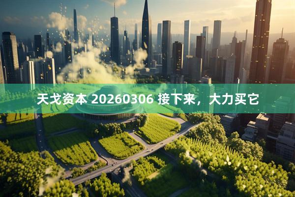 天戈资本 20260306 接下来，大力买它