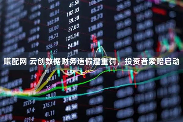 赚配网 云创数据财务造假遭重罚，投资者索赔启动